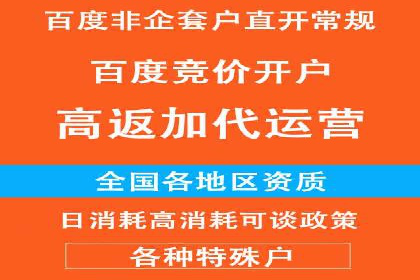 百度竞价广告成功案例：如何实现ROI最大化